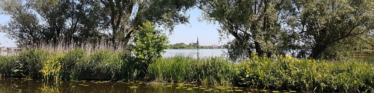 Project: Uitgangspunten ontwikkeling Langeraar-Westzijde | Gemeente ...